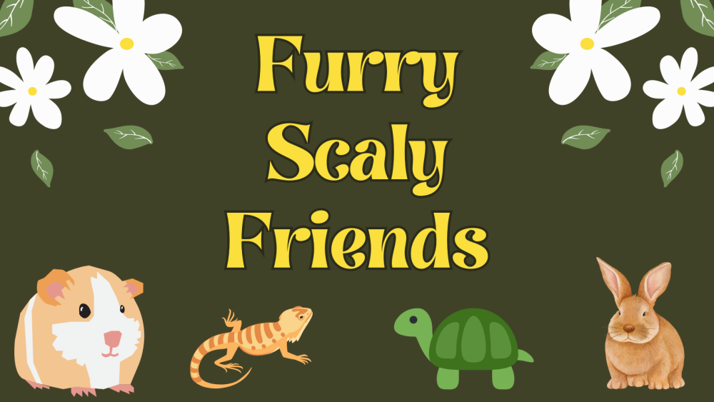 Furry Scaly Friends Cover