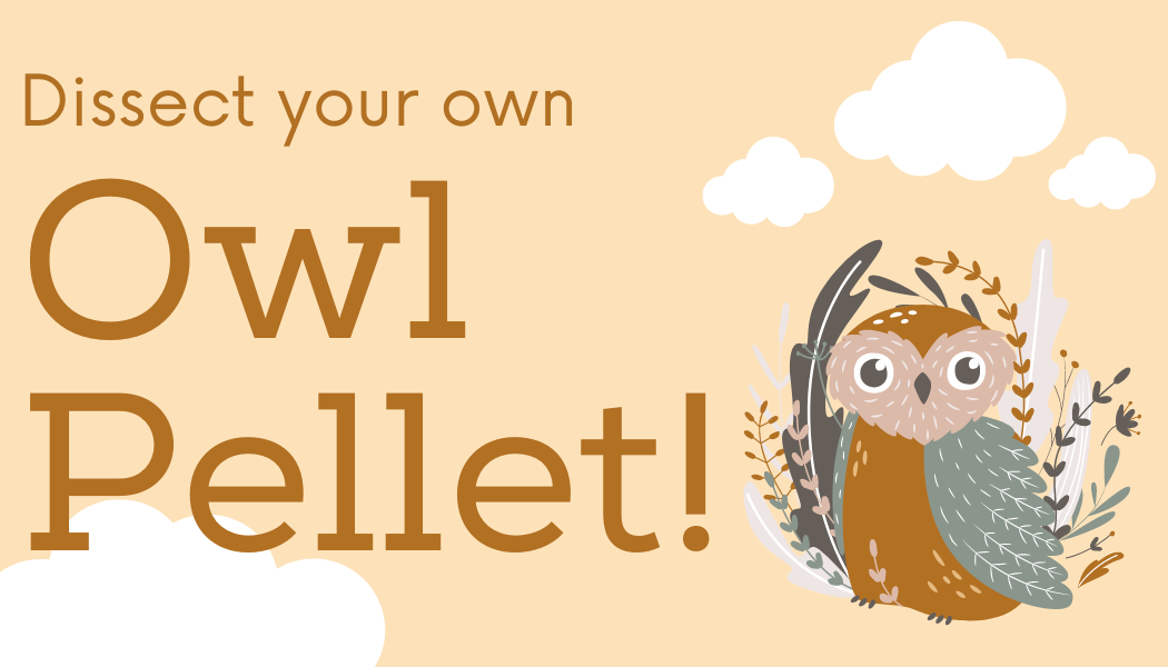 Owl Pellet Cover