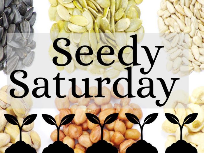 Get Ready for Spring at the Grand Opening of our Harwinton Grows Seed Library!