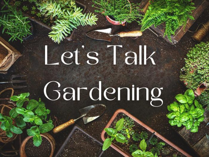 Let's Talk Gardening