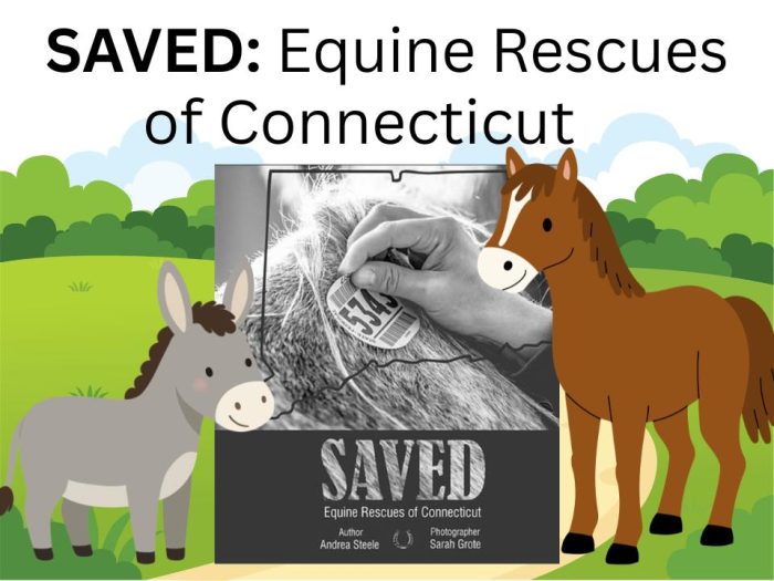 Saved: Equine Rescues of Connecticut