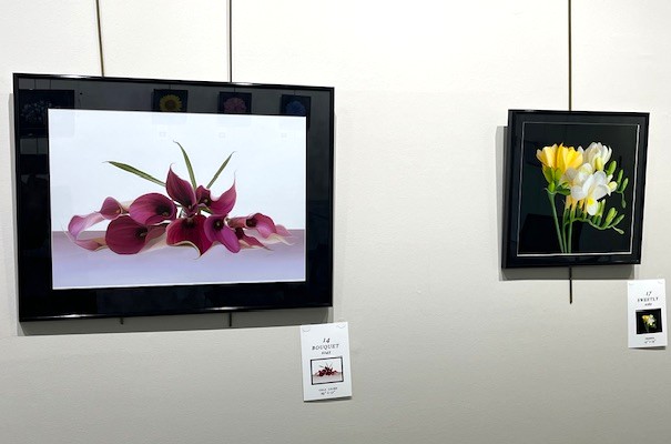 art on display