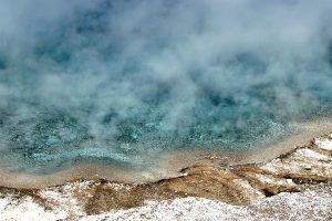 Pool's Edge by Suzanne Kirschner